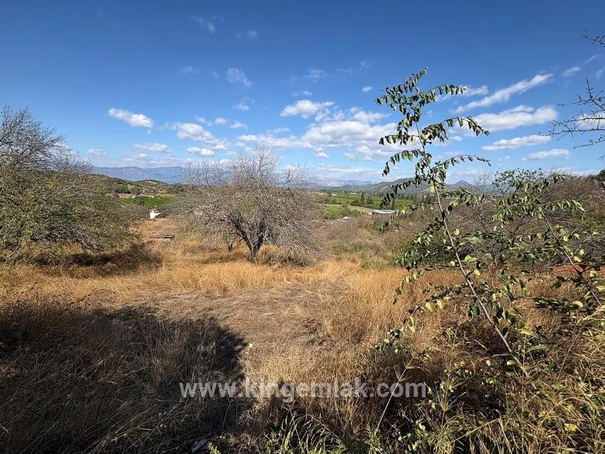 Feld Zu verkaufen in Dalyan Bz. Ortaca - Feld-Zonierung - 5.000 m²