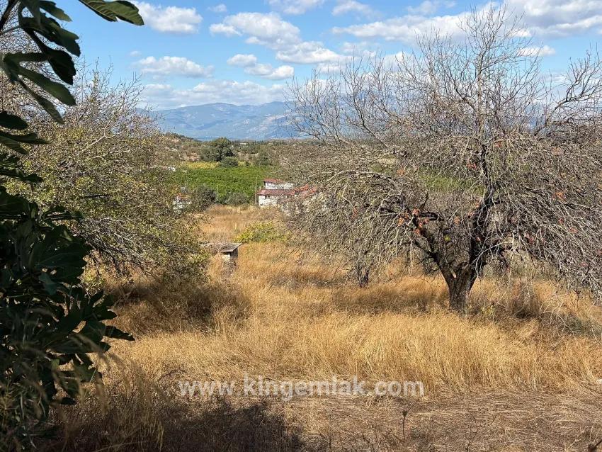 Feld Zu verkaufen in Dalyan Bz. Ortaca - Feld-Zonierung - 5.000 m²