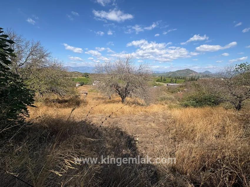 Feld Zu verkaufen in Dalyan Bz. Ortaca - Feld-Zonierung - 5.000 m²