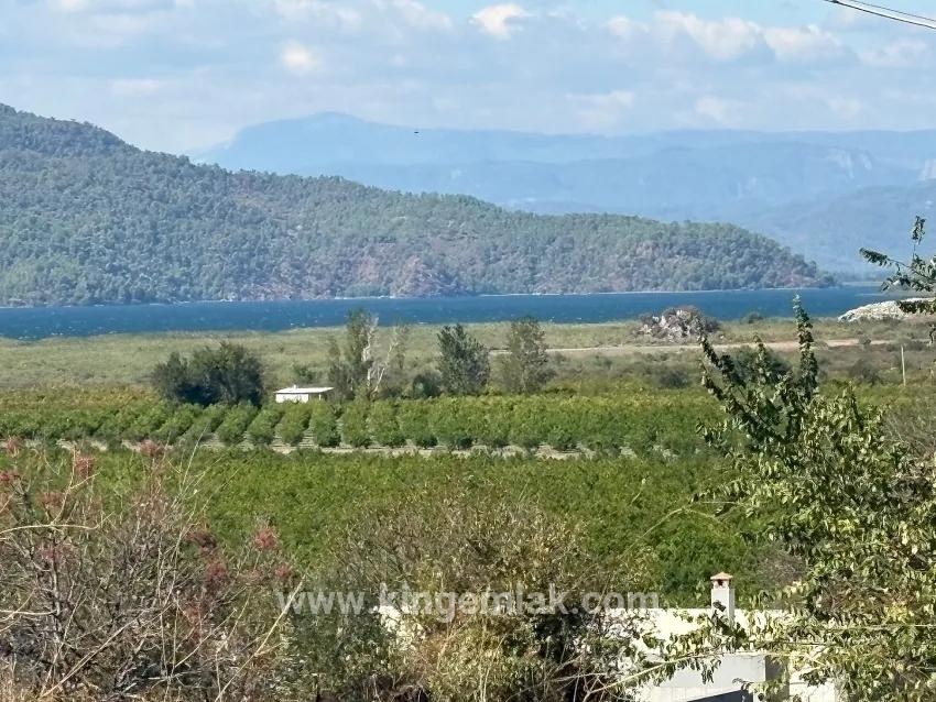 Feld Zu verkaufen in Dalyan Bz. Ortaca - Feld-Zonierung - 5.000 m²