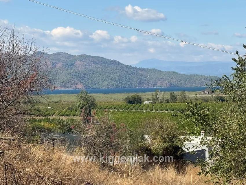 Feld Zu verkaufen in Dalyan Bz. Ortaca - Feld-Zonierung - 5.000 m²