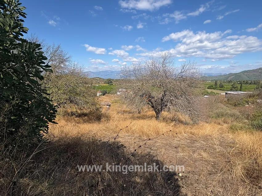 Feld Zu verkaufen in Dalyan Bz. Ortaca - Feld-Zonierung - 5.000 m²