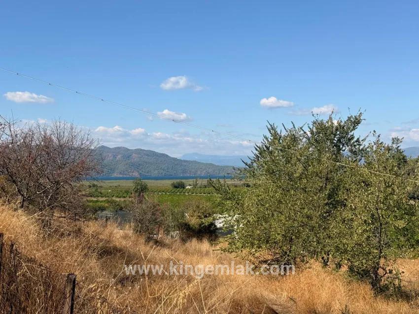 Feld Zu verkaufen in Dalyan Bz. Ortaca - Feld-Zonierung - 5.000 m²
