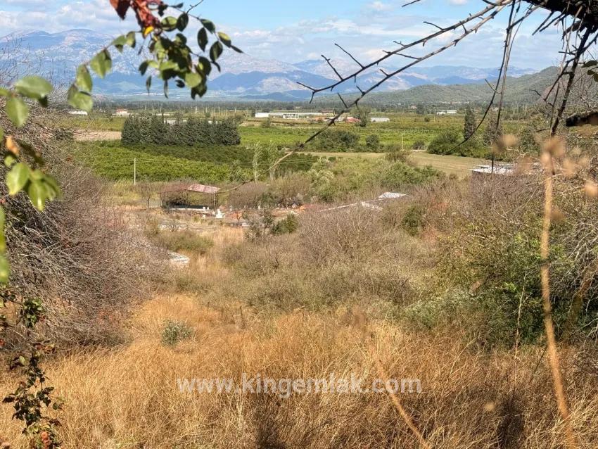 Feld Zu verkaufen in Dalyan Bz. Ortaca - Feld-Zonierung - 5.000 m²