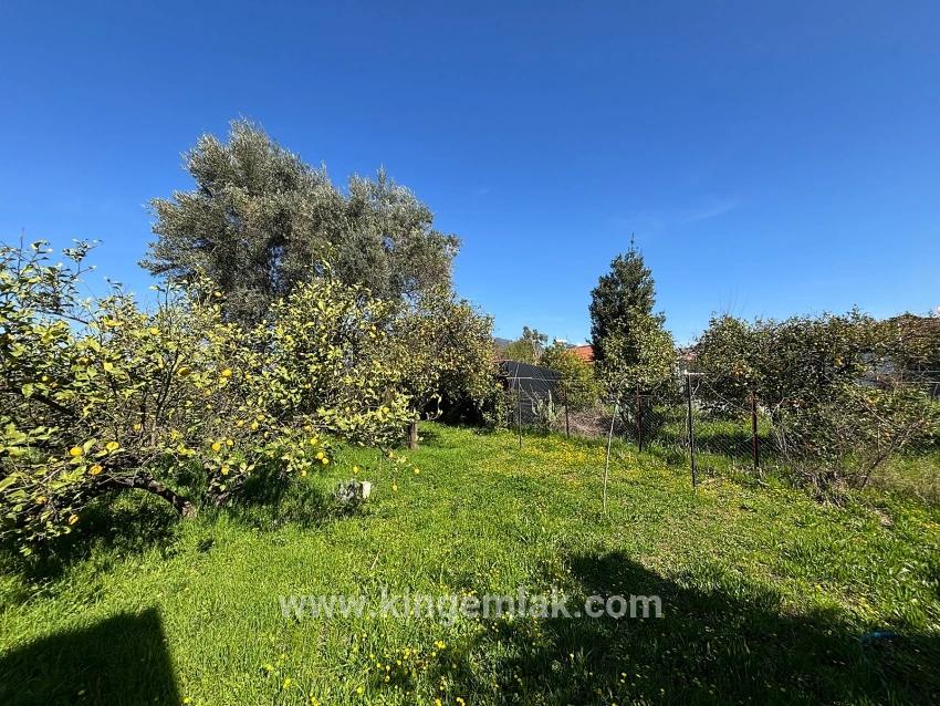 2+1-Zimmer Einfamilienhaus Zu verkaufen in Okçular Bz. Ortaca - 459 m²