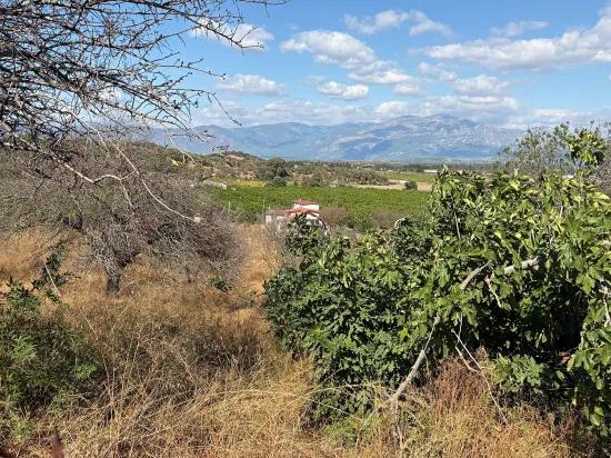 In Karadağ ein Angebot, das dem Boden Wert hinzufügt