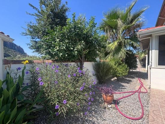 Ein Friedlicher Rückzugsort Inmitten Der Natur – Freistehende Villa In Marmarlı