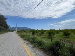 Feld Zu Verkaufen in Dalyan Bz. Ortaca - Feld-Zonierung - 14.000 m²