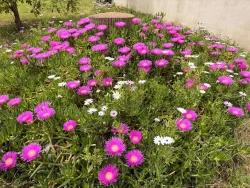 Eine Komfortable Und Ruhige Erdgeschosswohnung