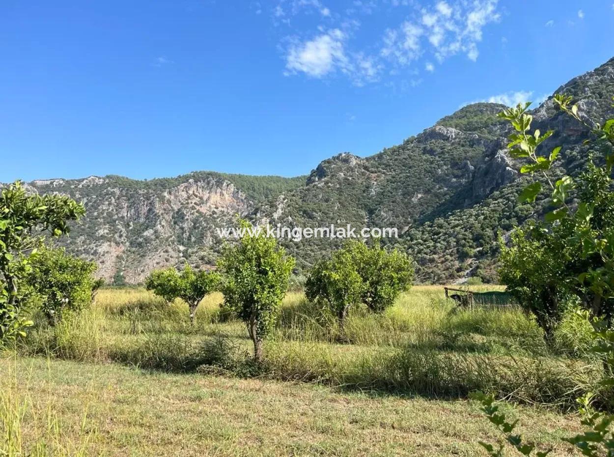 Feld Zum Verkauf In Dalyan
