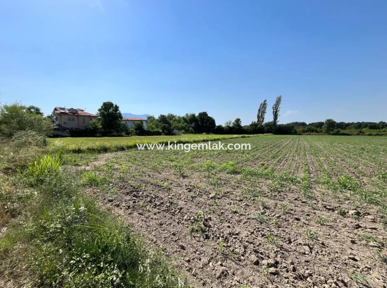 Dalyan-Land, Das Für Investitionen Geeignet Is