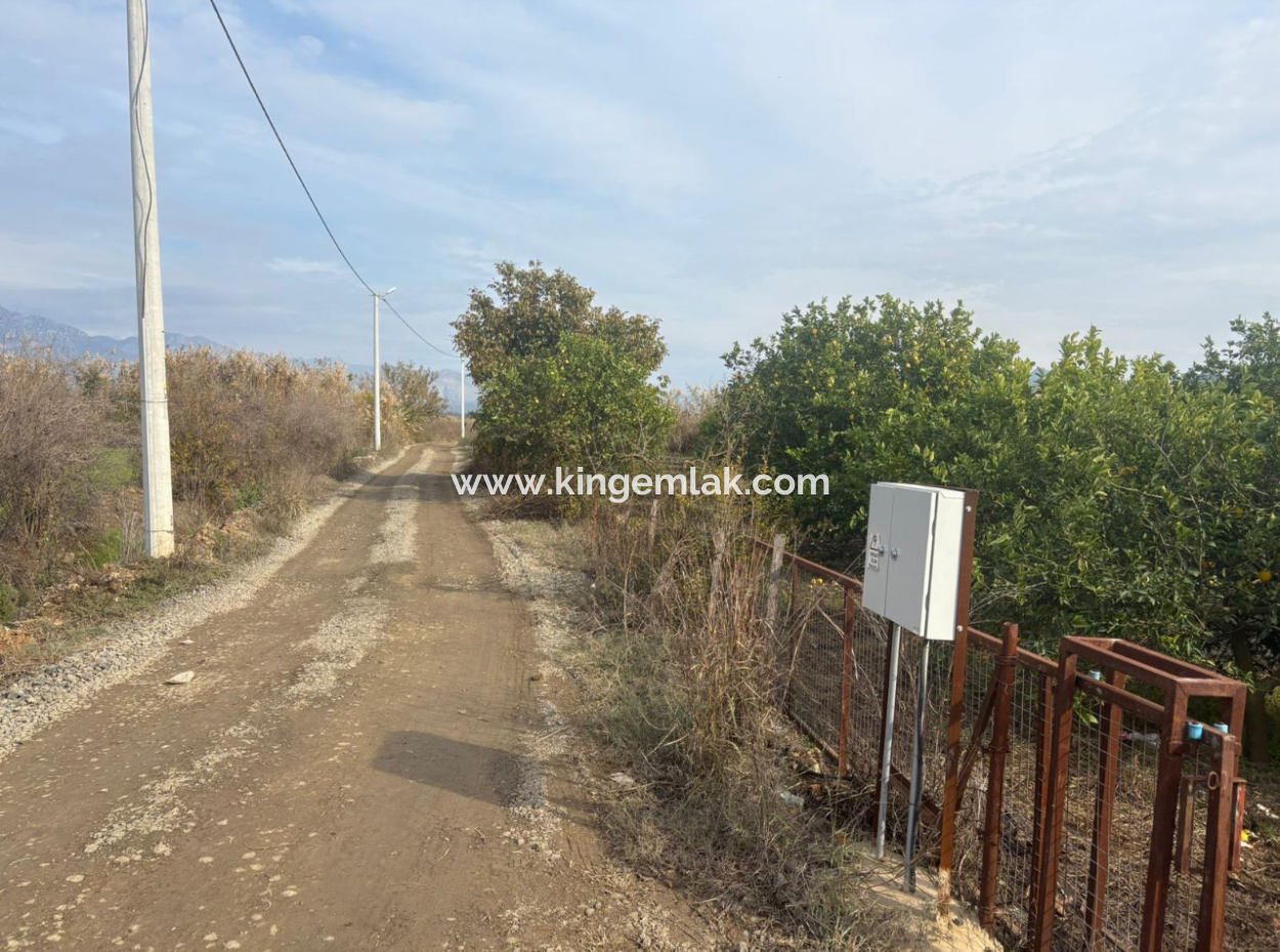 Field Land For Sale In Tepearası