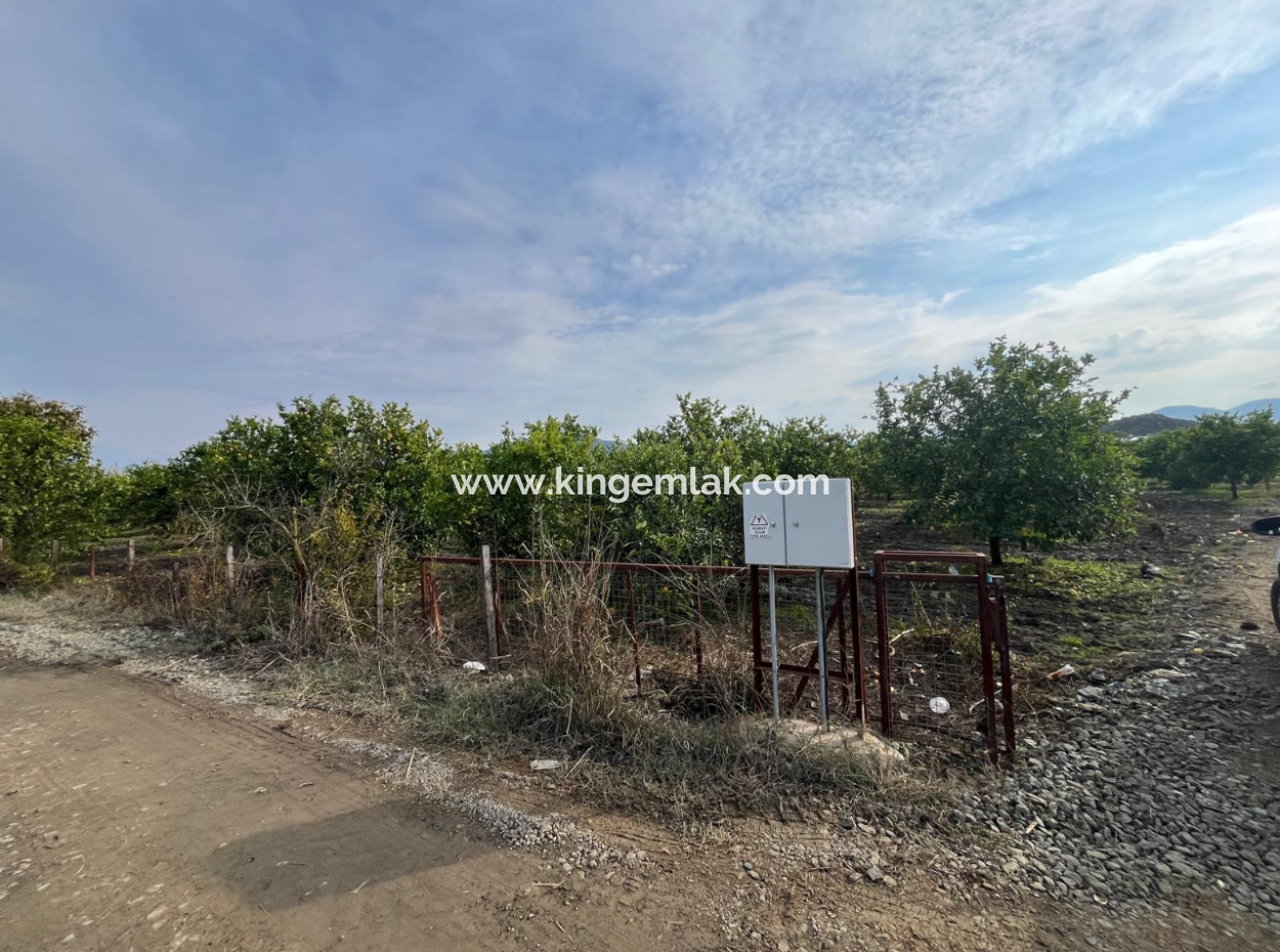 Field Land For Sale In Tepearası