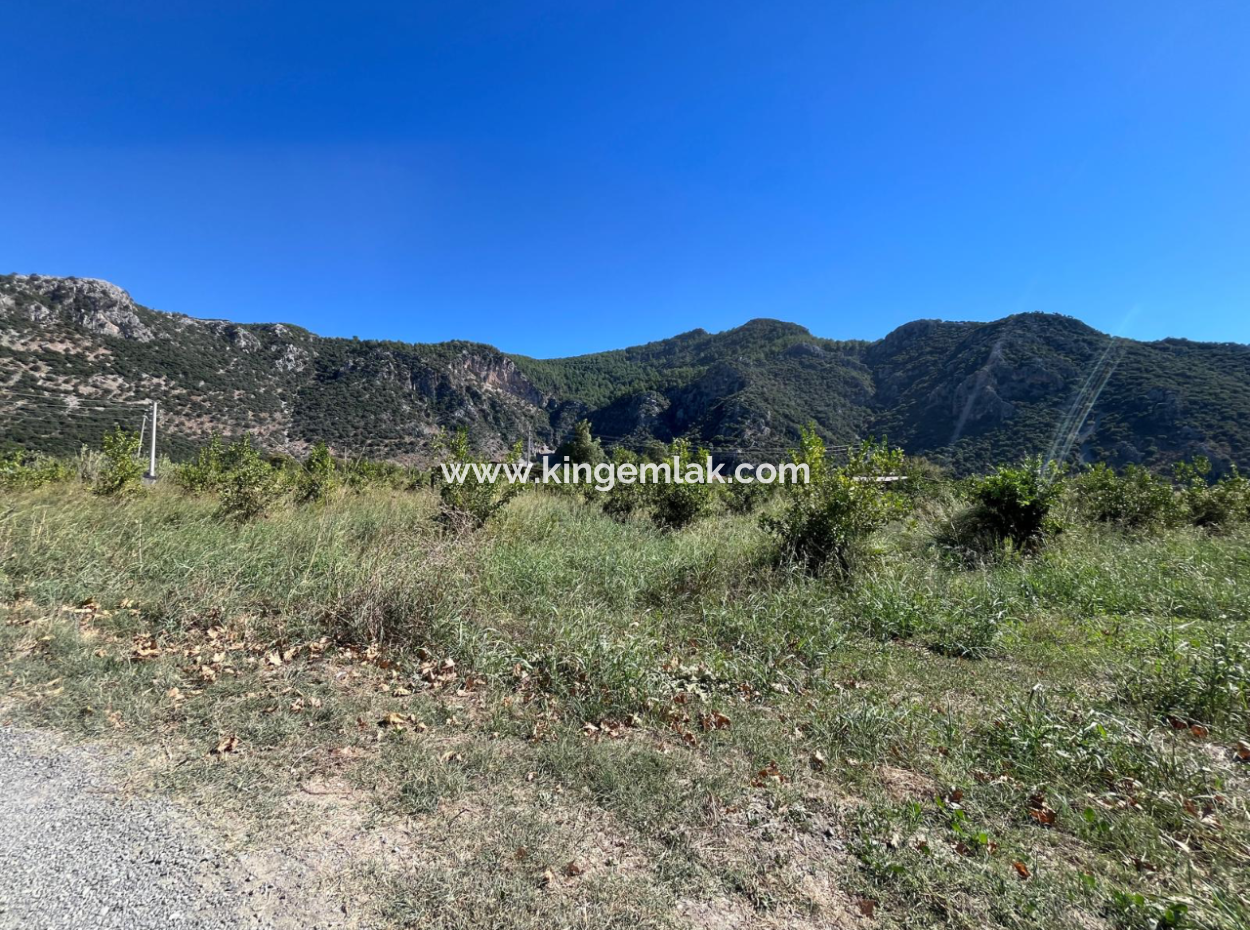 Lovely Field Plot In Arik Bası