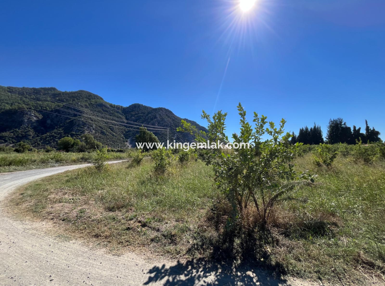 Lovely Field Plot In Arik Bası
