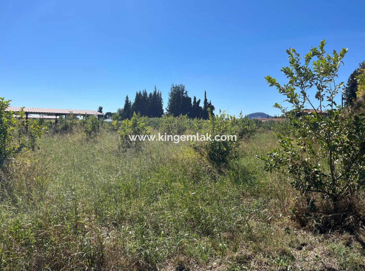 Lovely Field Plot In Arik Bası