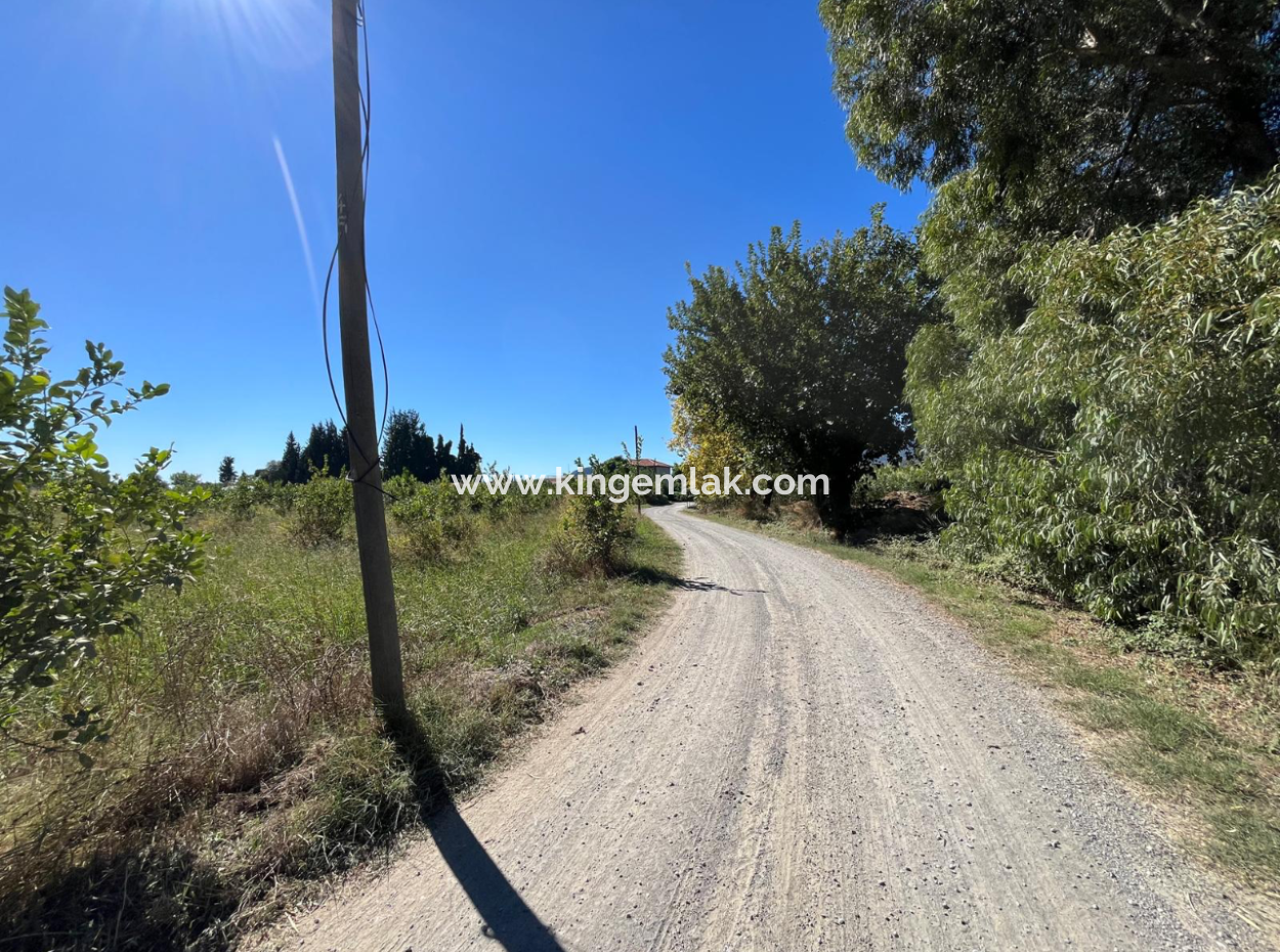 Lovely Field Plot In Arik Bası