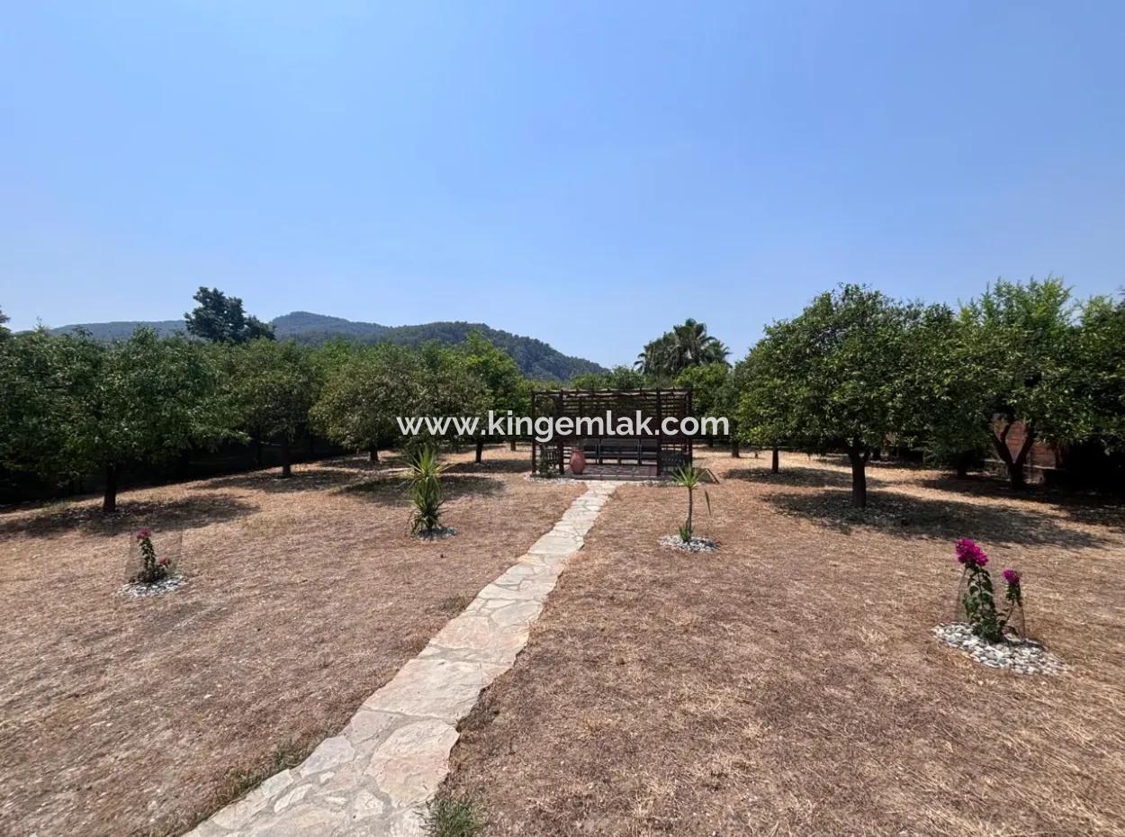 Charming 3-Bedroom Traditional Turkish Home