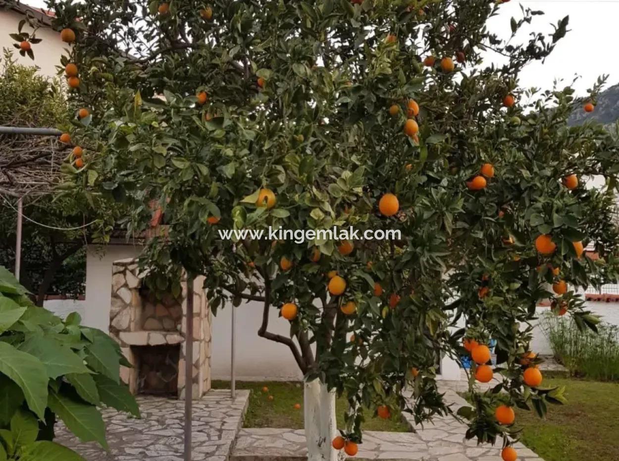 Charming Bungalow With Investment Potential