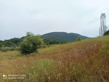 Grundstück Zum Verkauf In Dalyan Gökbel