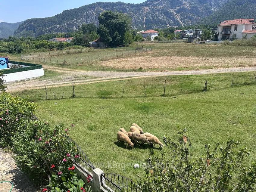 Spacious Village Home With Mountain Views And Mature Gardens