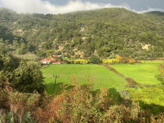 Farmland For Sale In Çandır Village, Opposite Dalyan.