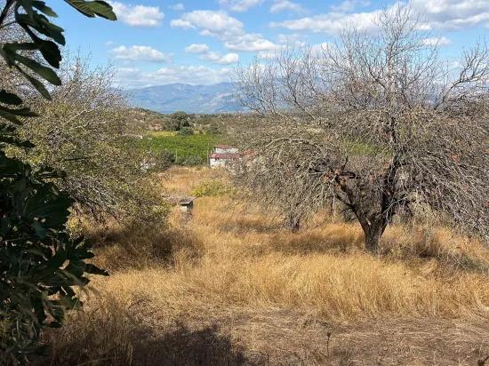 Room to Grow — 5,000 m² of Land In Karadağ