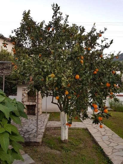A Charming Bungalow With Investment Potential In Dalyan Arıkbaşı Area