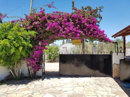 A Charming, Detached Bungalow With Investment Potential In The Dalyan Arıkbaşı Area.