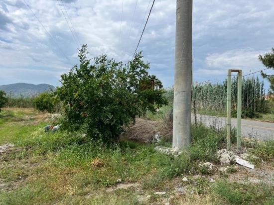 Pomegranate Garden For Sale On The Dalyan – İztuzu Road