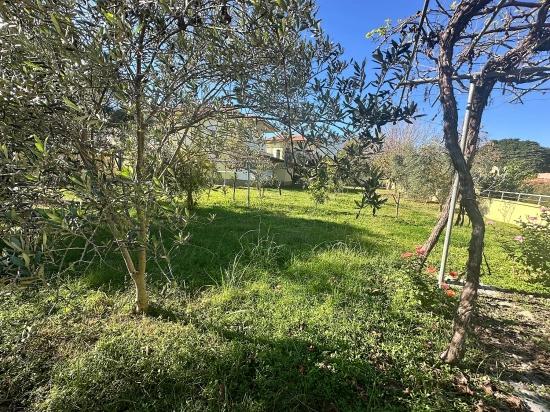 House For Sale In Dalyan Gülpınar On A 1000 M2 Plot Of Land.