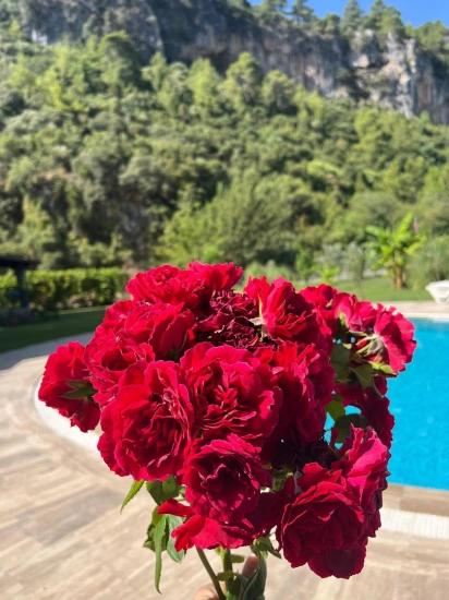 Duplex Villa For Sale In Dalyan Okçular *price Reduced*