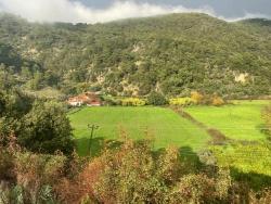 Terrain For Sale in Çandır Nbh. Köyceğiz - Field Zoned - 35.000 m²