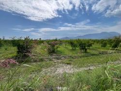 Field For Sale in Dalyan Nbh. Ortaca - Field Zoned - 14.000 m²