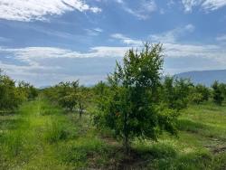 Field For Sale in Dalyan Nbh. Ortaca - Field Zoned - 14.000 m²