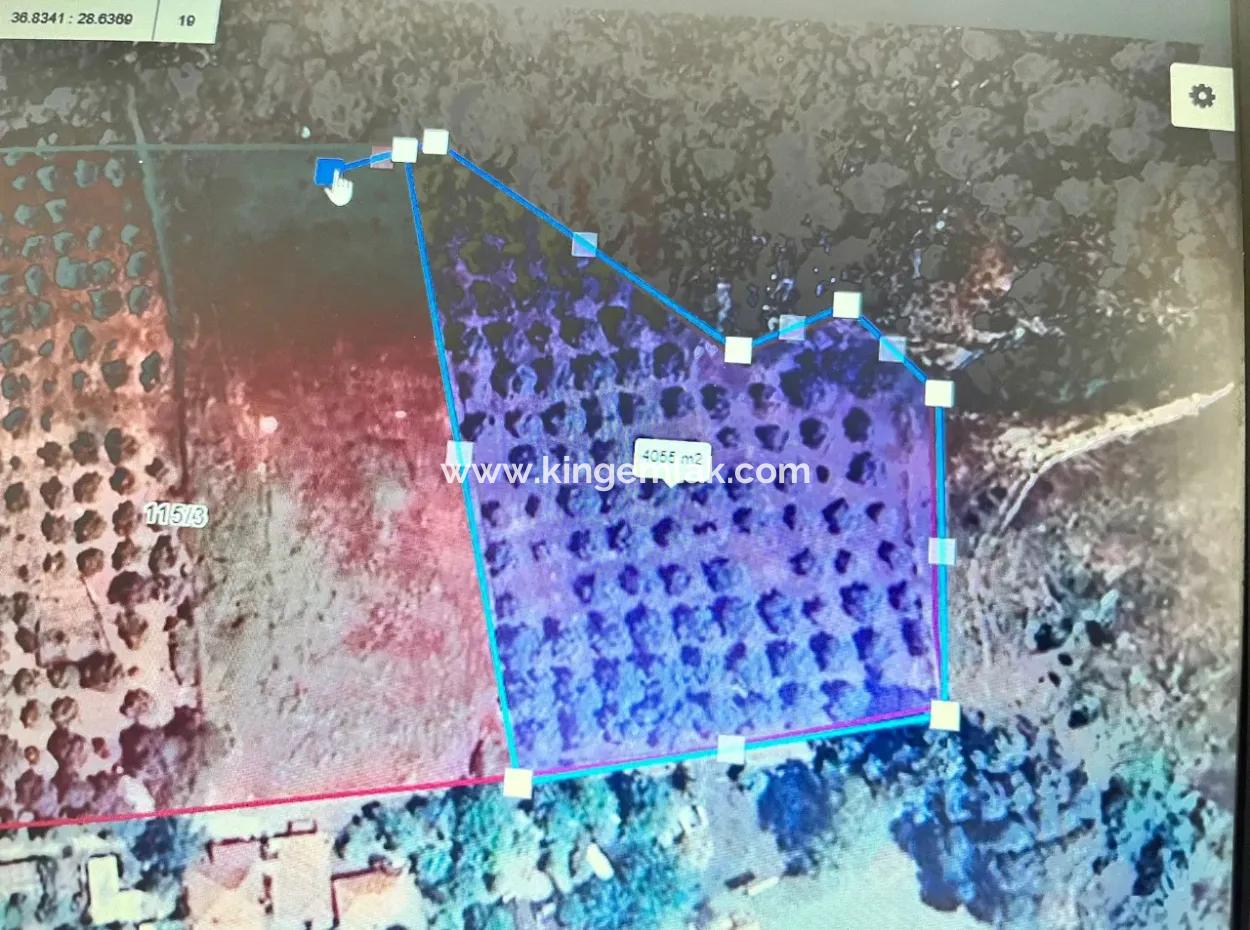 Dalyan Çandir Shared Fields For Sale