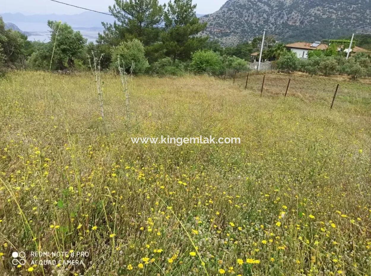 Land For Sale In Dalyan Gökbel