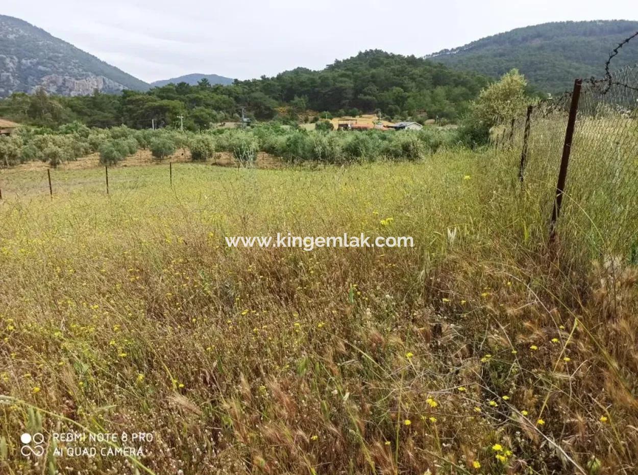 Land For Sale In Dalyan Gökbel