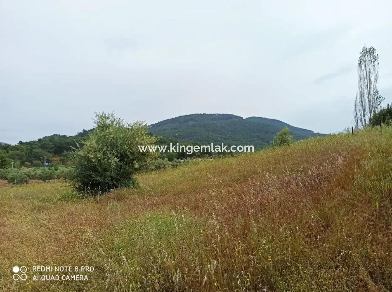 Land For Sale In Dalyan Gökbel
