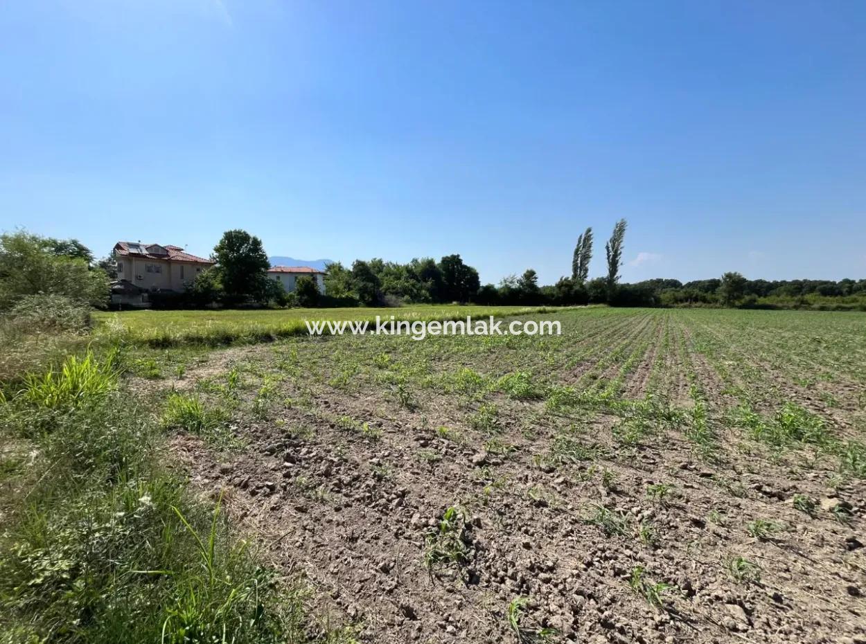 Dalyan Land Suitable For Investment