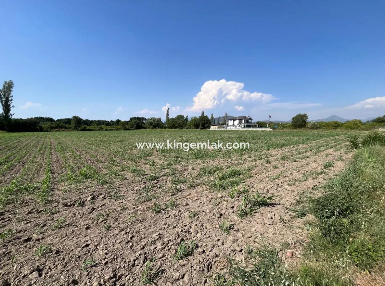 Dalyan Land Suitable For Investment