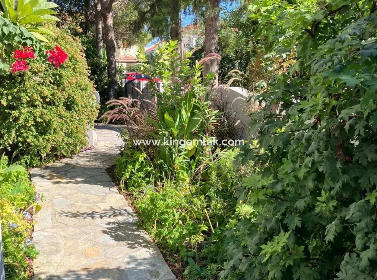 One Of A Kind Villa And Apartment