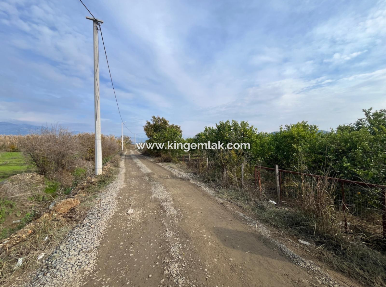 Field Land For Sale In Tepearası