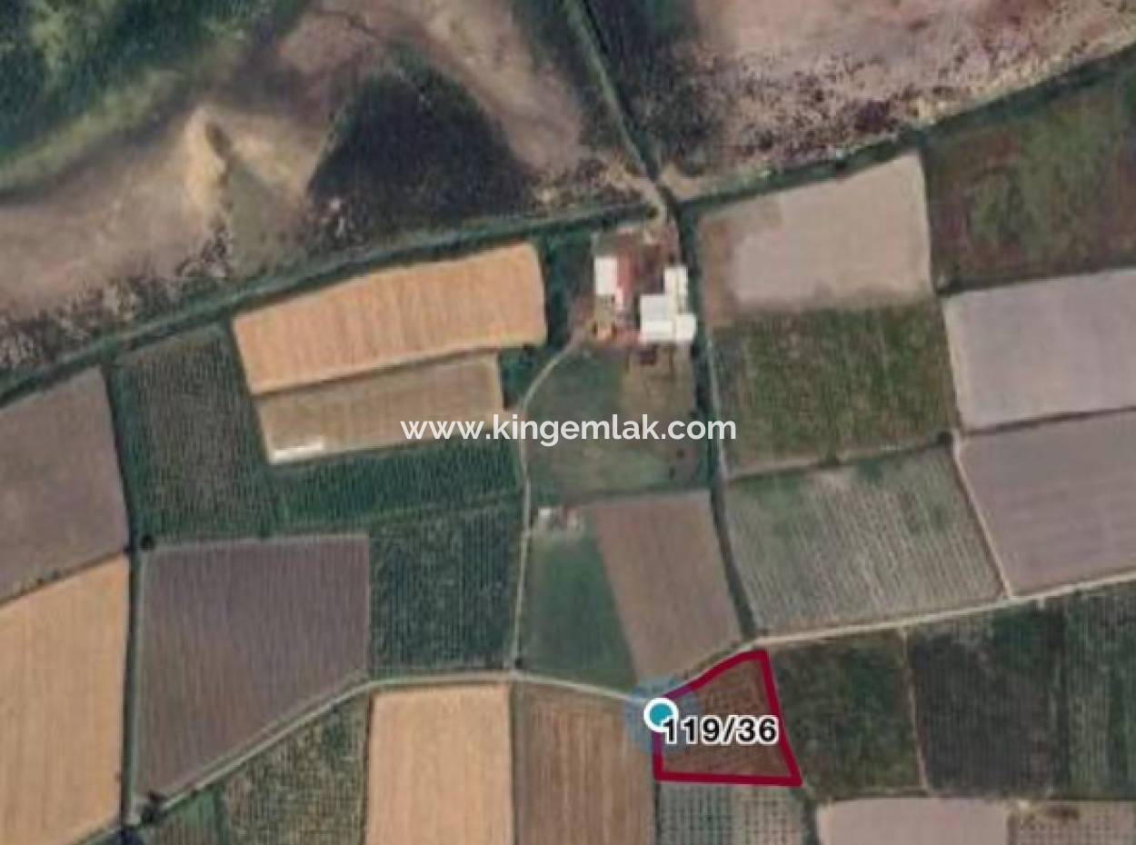 Field Land For Sale In Tepearası