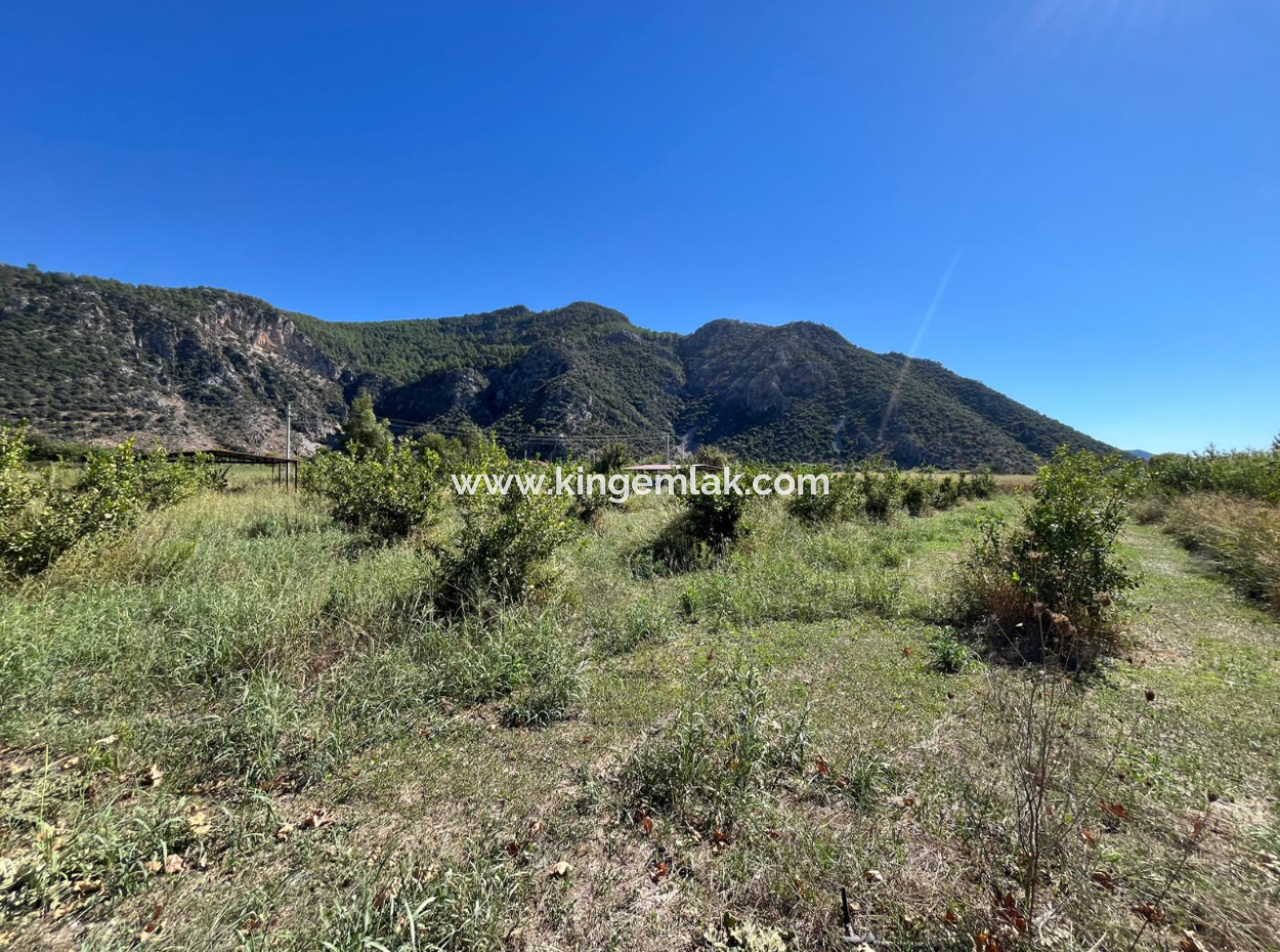 Lovely Field Plot In Arik Bası