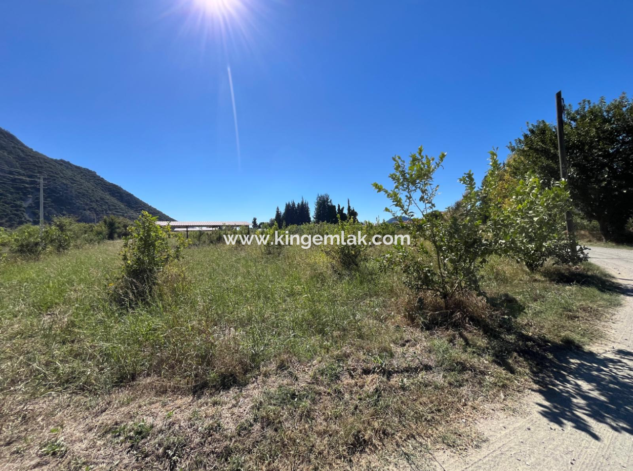 Lovely Field Plot In Arik Bası