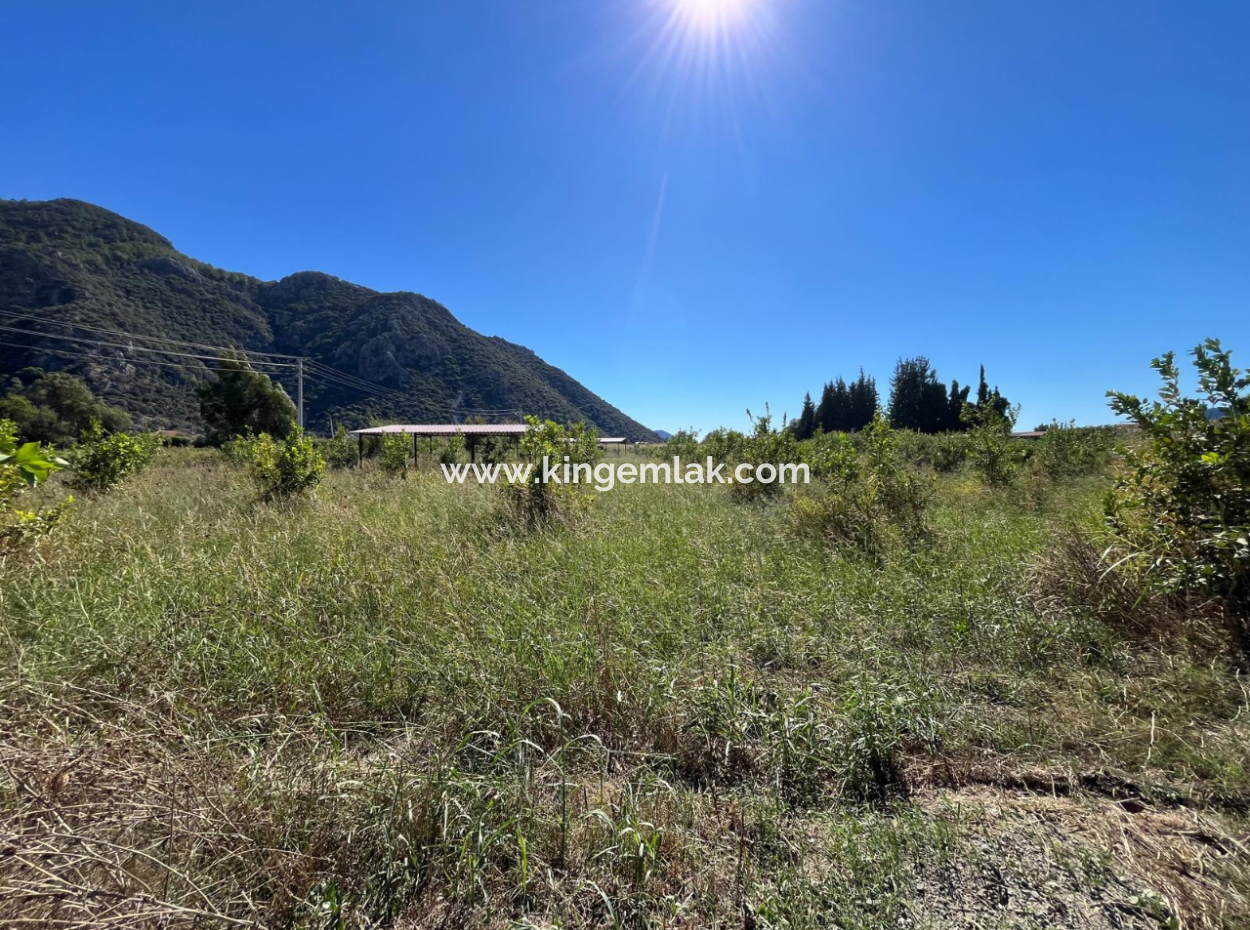 Lovely Field Plot In Arik Bası