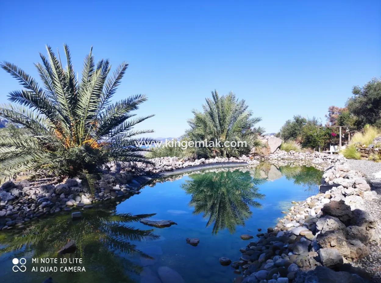 Palace In The Mountains