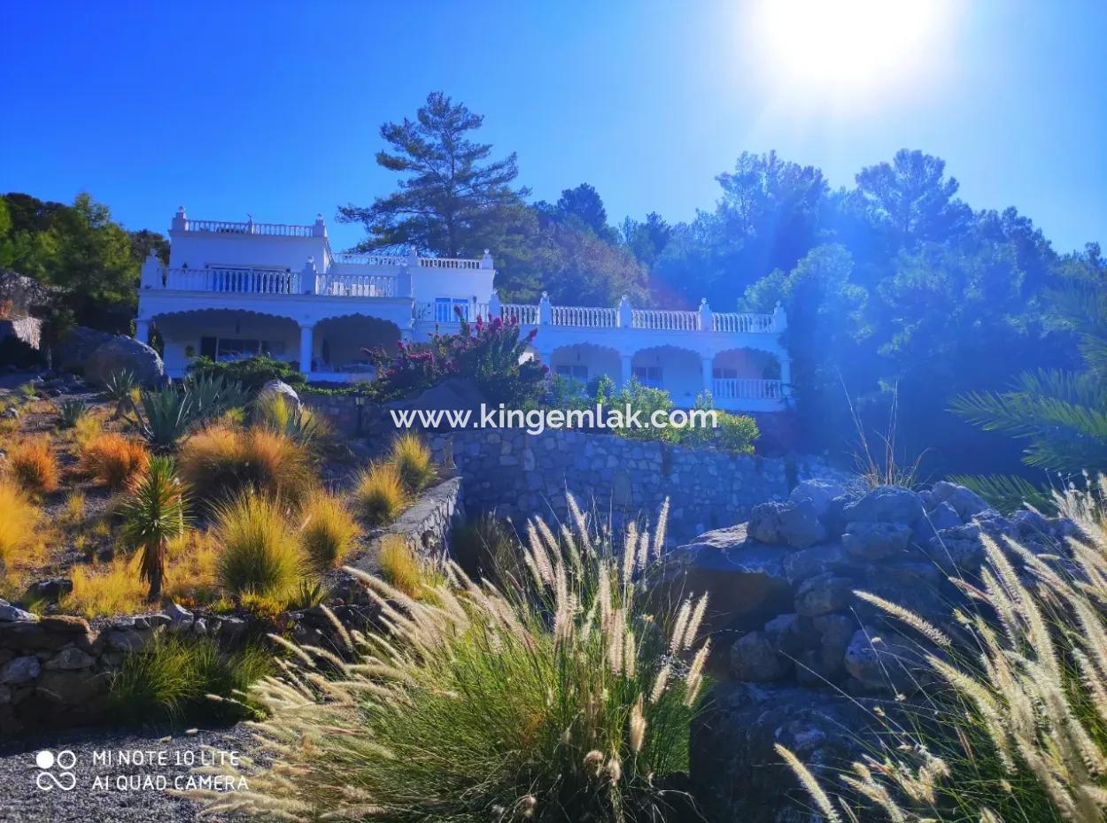 Palace In The Mountains