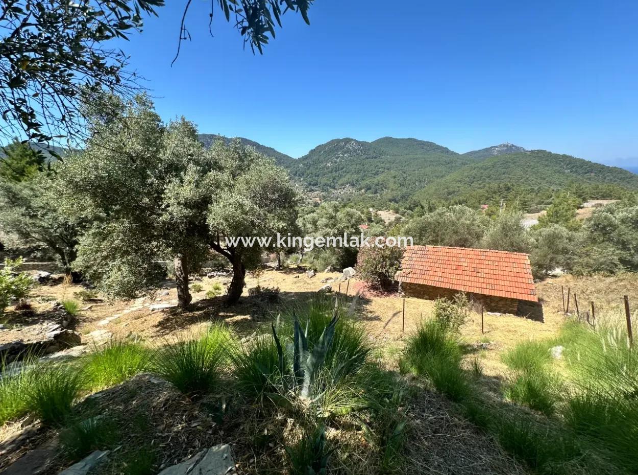 Palace In The Mountains